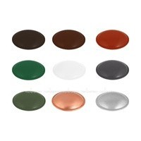 AS Колпачок декоративный RR 23